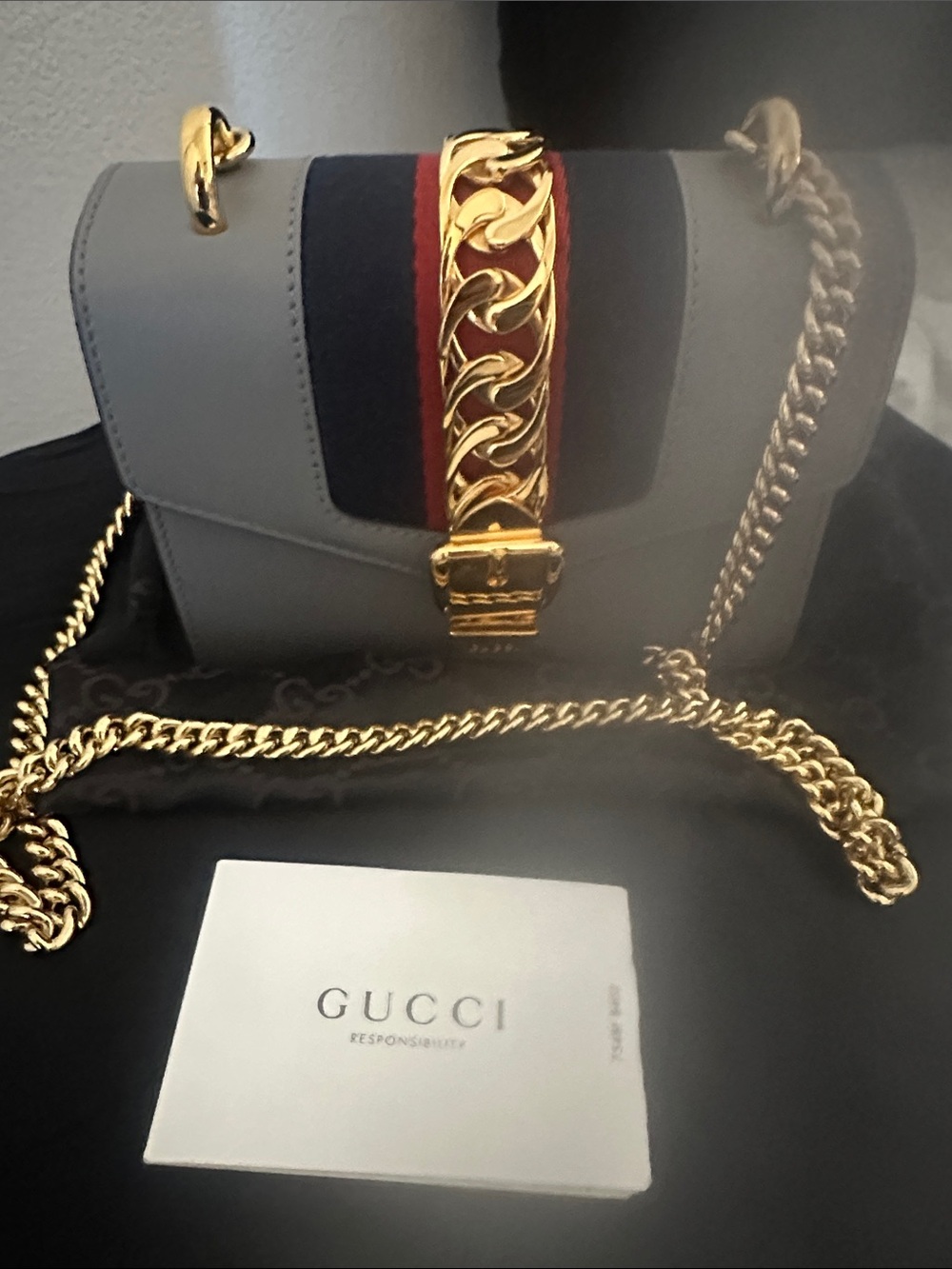 NWOT Gucci Light Gray Marmont Chain Crossbody with Red & Blue Web - Picture 1 of 13